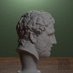 Head