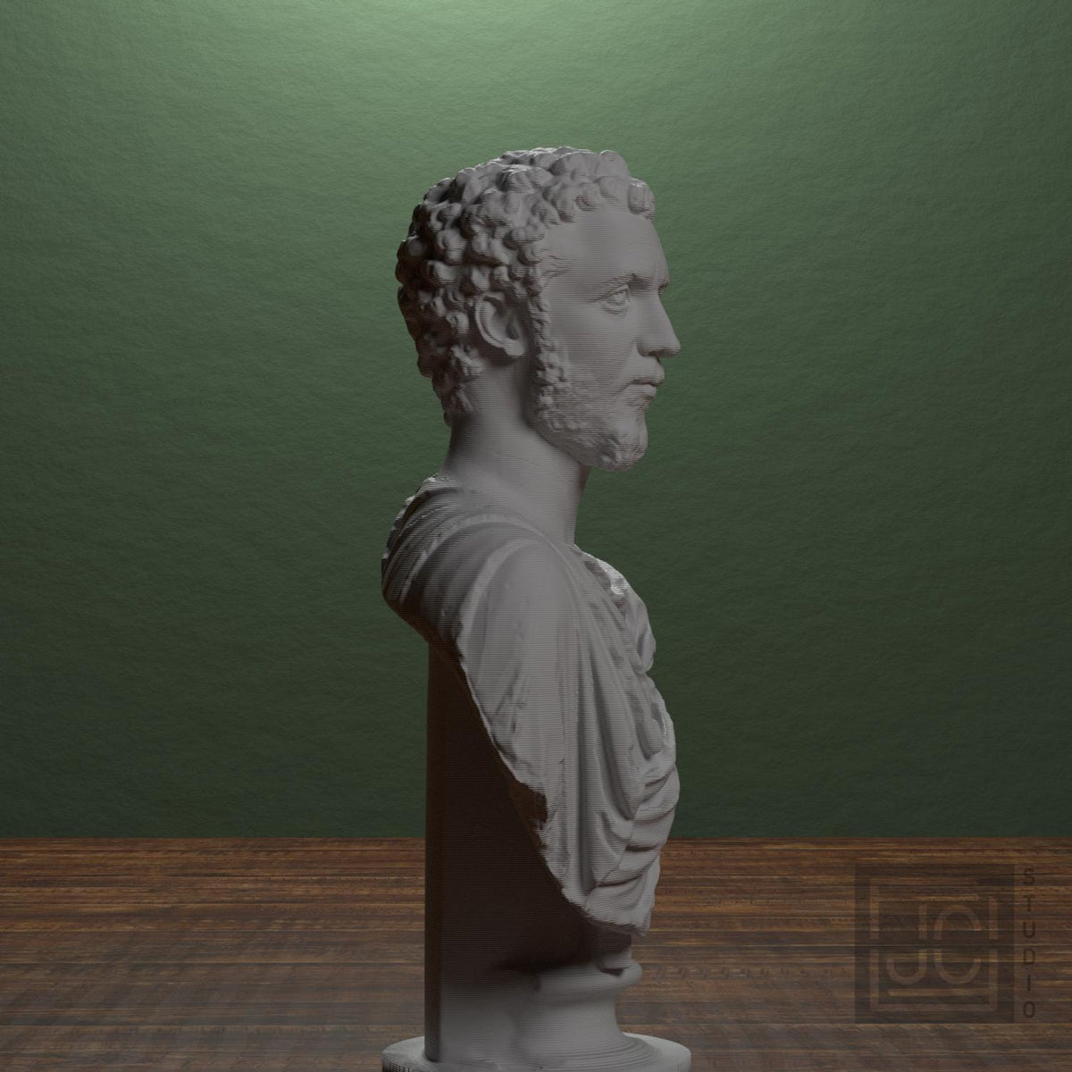 Portrait of a Man (Septimius Severus?)