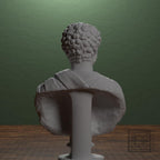 Portrait of a Man (Septimius Severus?)