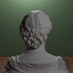 Bust of a Young Man with a Medallion