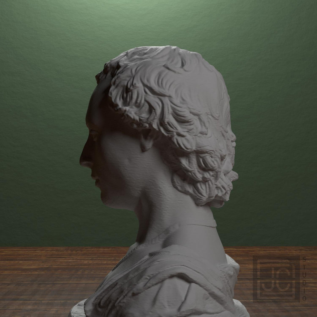 Bust of a Young Man with a Medallion
