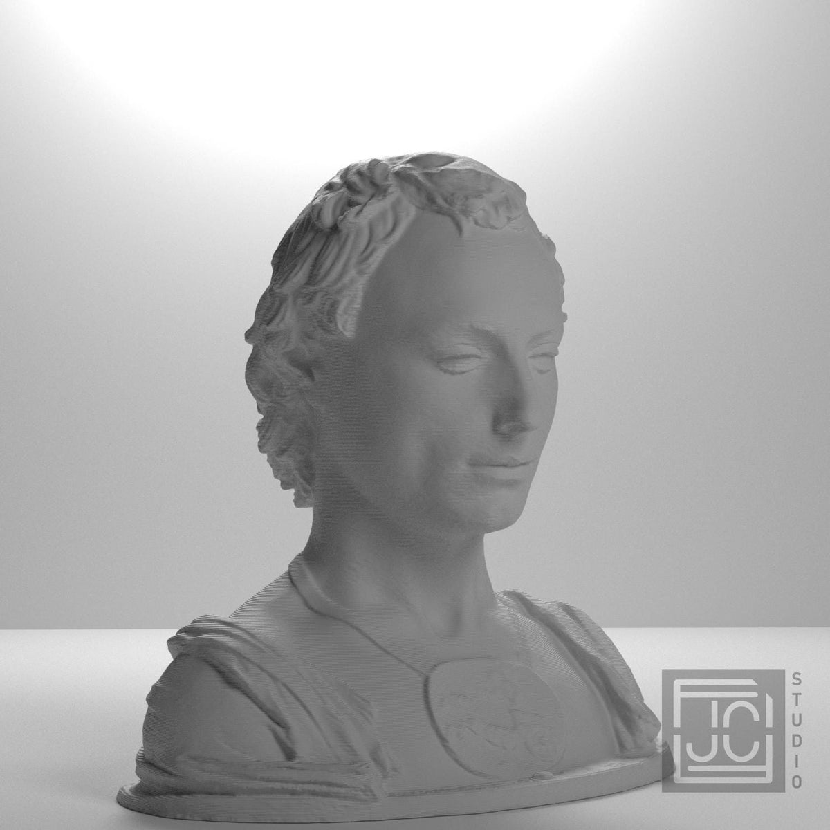 Bust of a Young Man with a Medallion