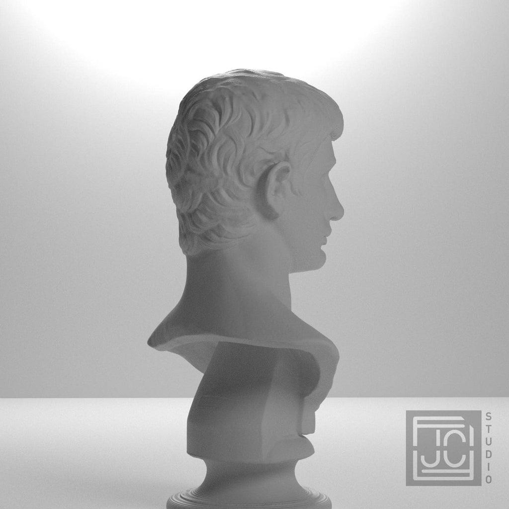 Portrait of an Augustine Prince Marcellus (?)
