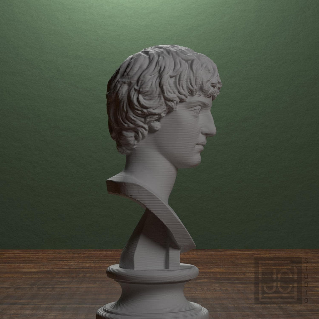 Portrait of a man
