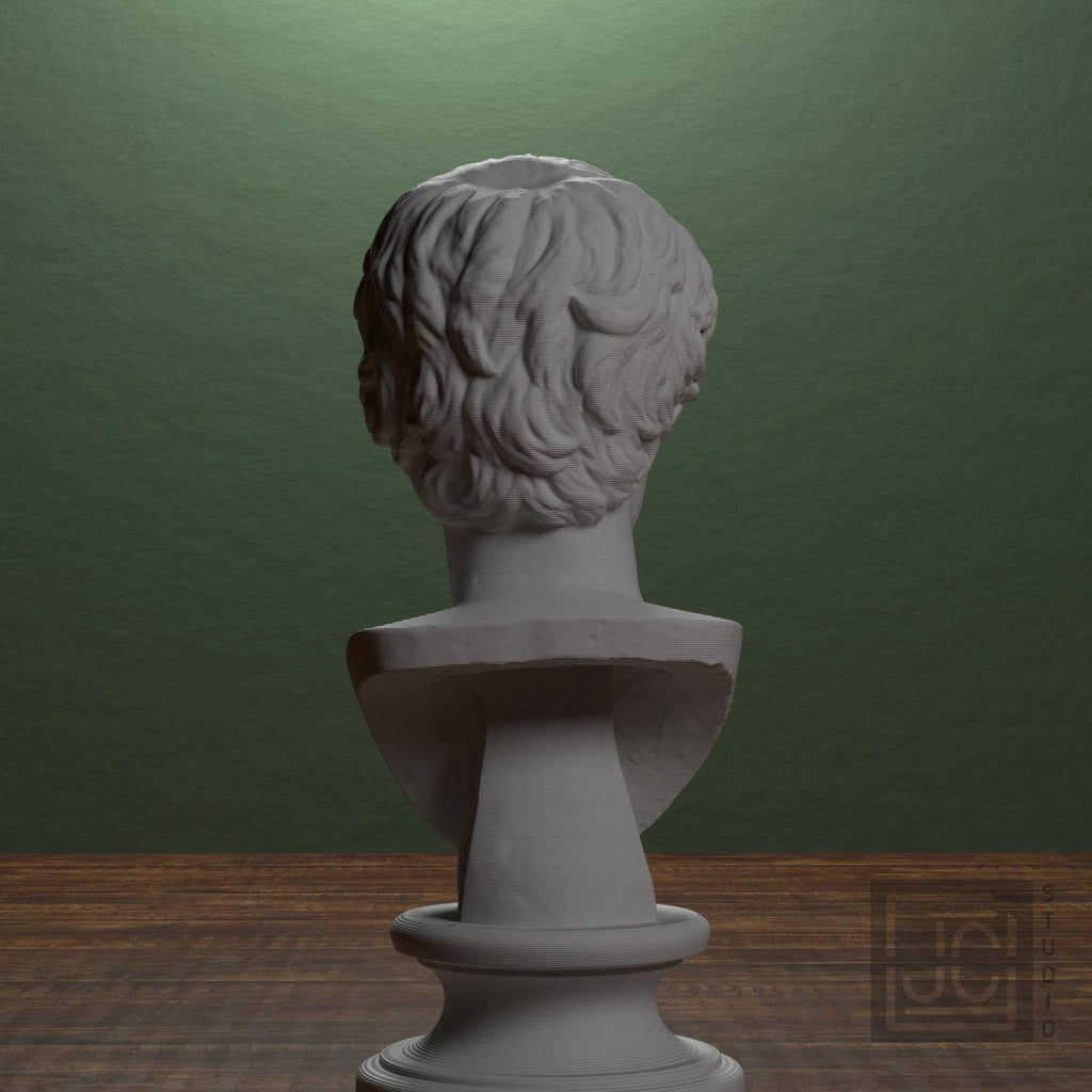 Portrait of a man