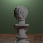 Portrait of a man