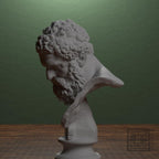 Bust of the Farnese Hercules