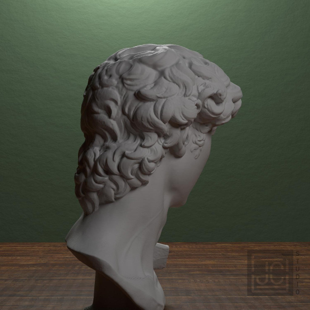 Head of Michelangelo's David