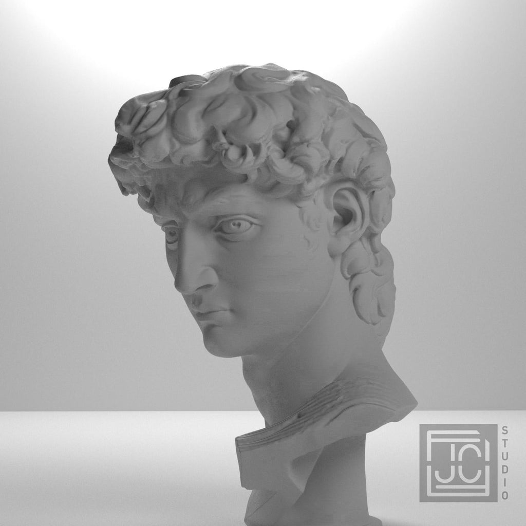 Head of Michelangelo's David