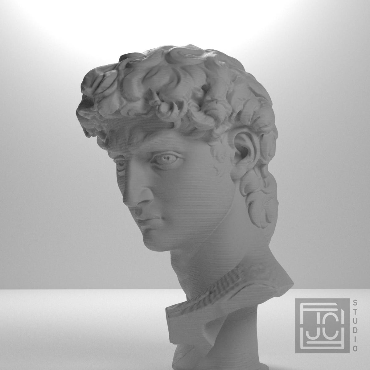 Head of Michelangelo's David