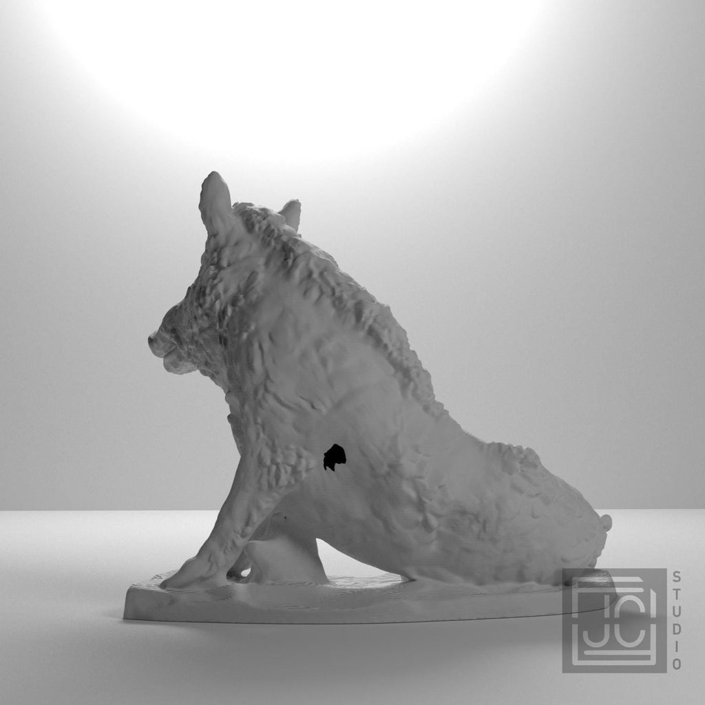 The Wild Boar Porcellino