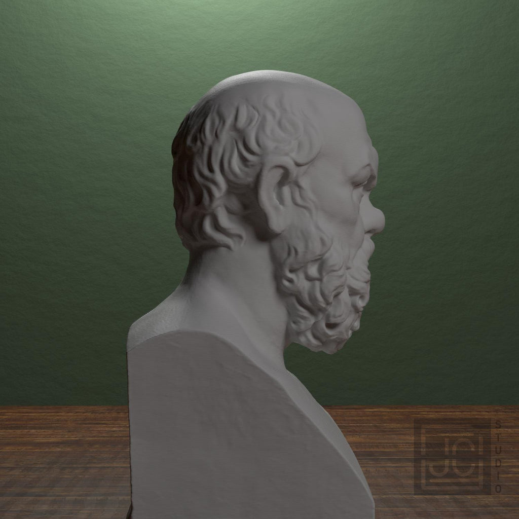 Portrait of Socrates