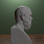 Portrait of Socrates