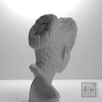 Bust of Iulia Titi