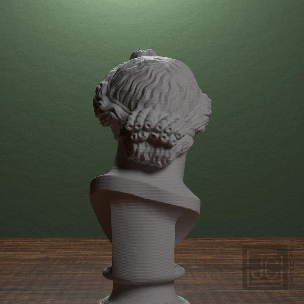 Bust of the Apollo Lykeios
