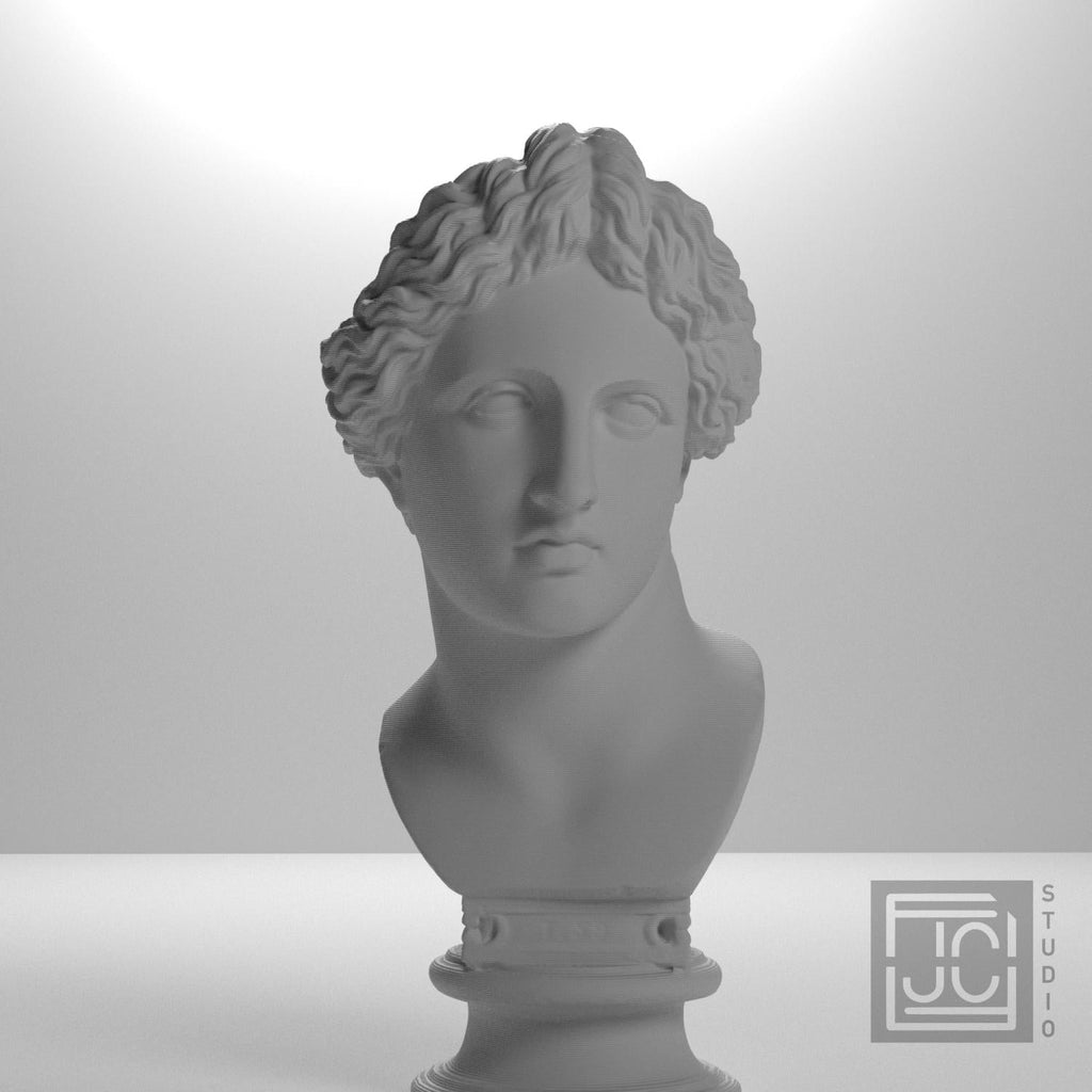 Bust of the Apollo Lykeios