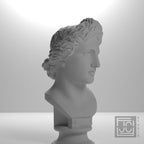 Bust of the Apollo Lykeios