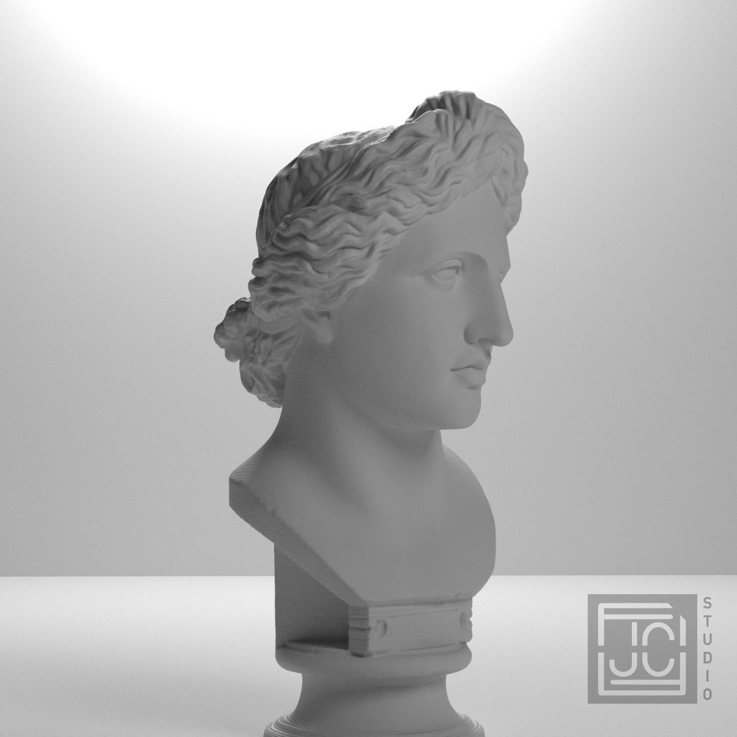 Bust of the Apollo Lykeios