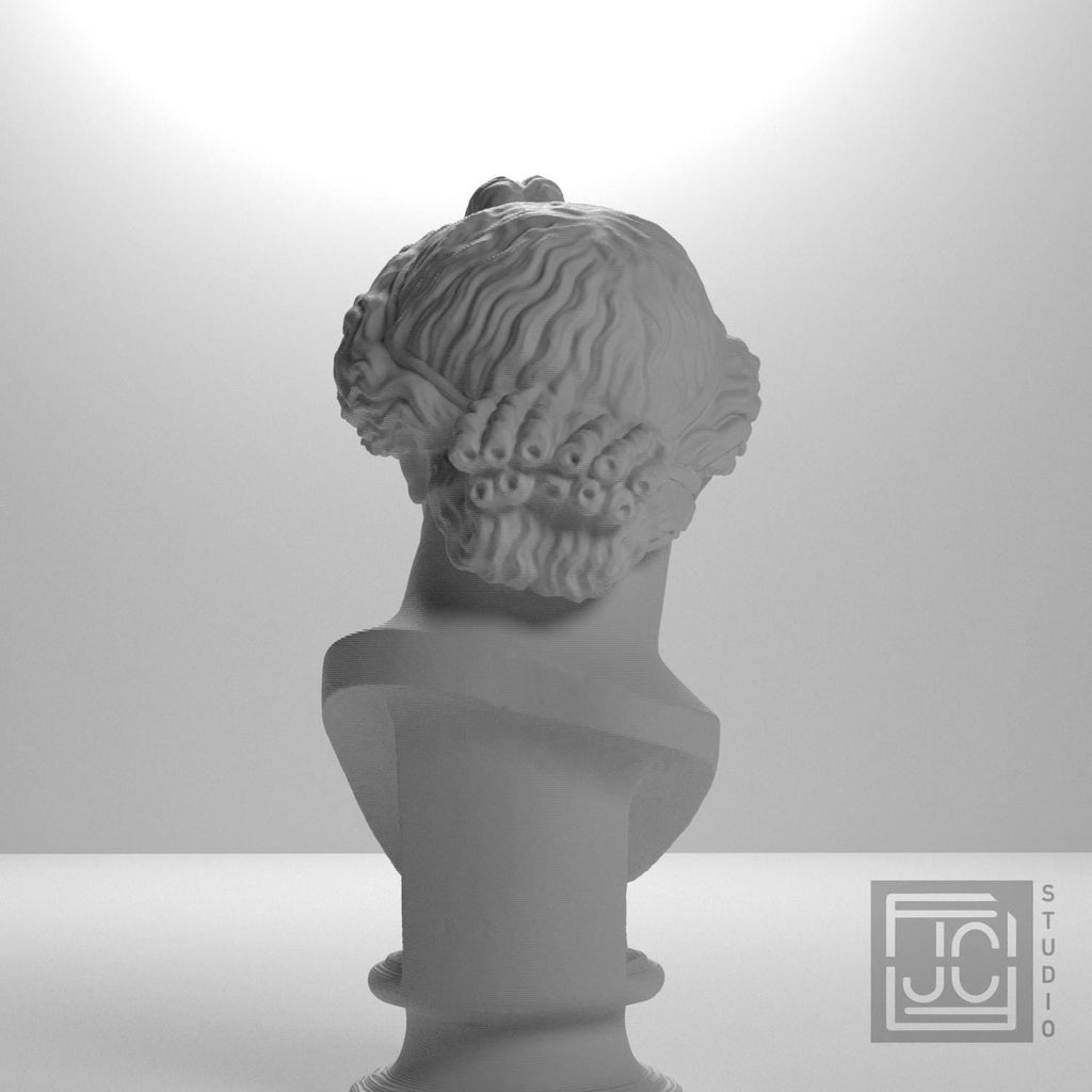 Bust of the Apollo Lykeios