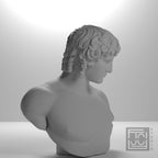 Portrait of Antinous