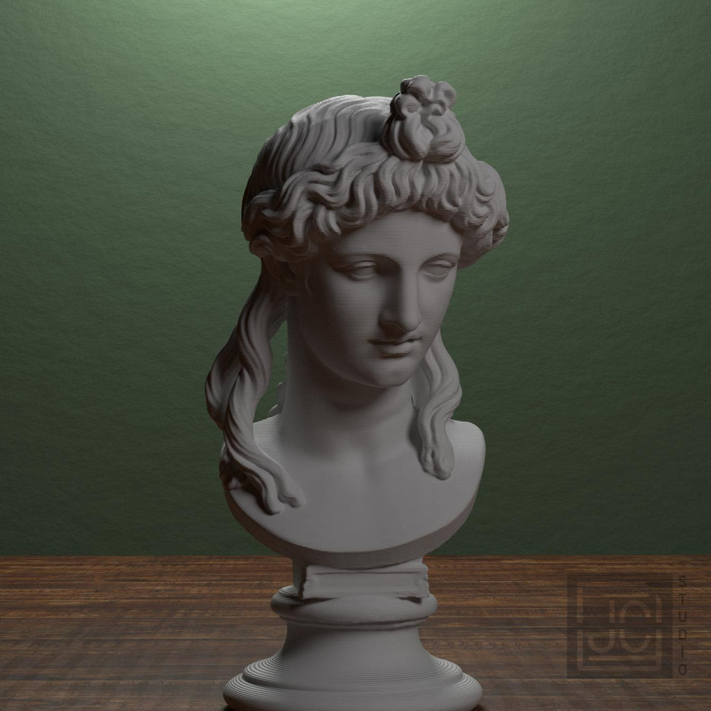 Head of a Woman or Apollo