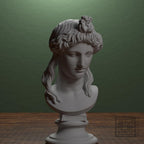 Head of a Woman or Apollo