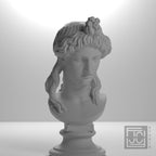 Head of a Woman or Apollo
