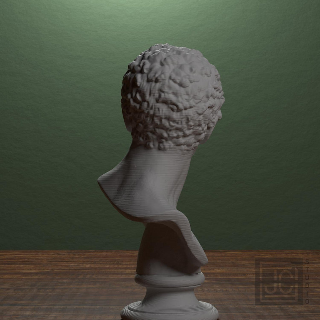 Head of a Man