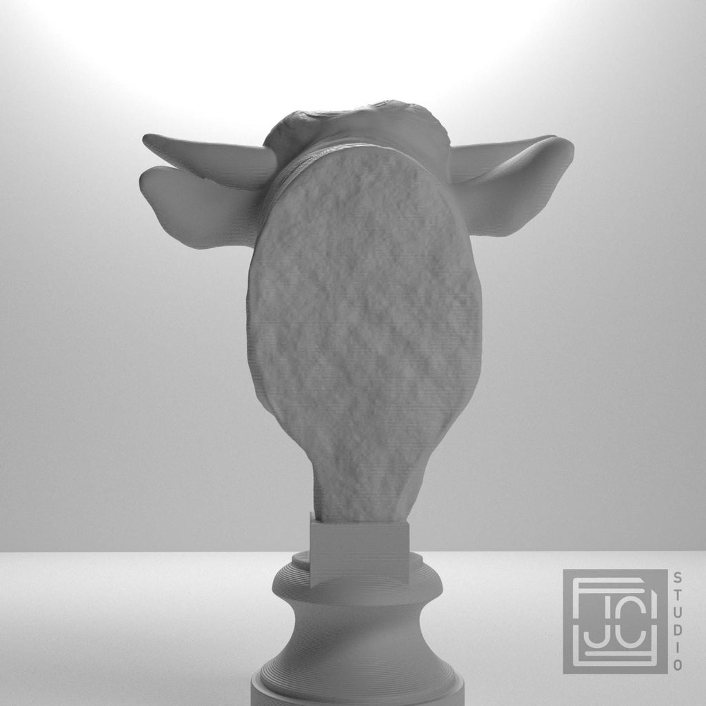 Head of a Bull