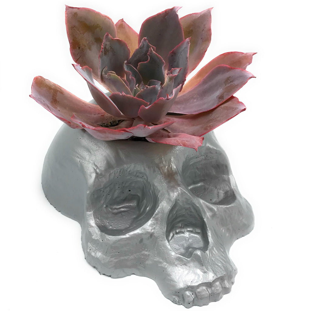 Skull Planter 11" Mold