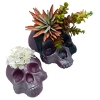 Side Hustle Planter Set