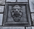 Lion Square Mold 12" ABS