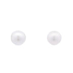 Natural FW Pearl Stud Earrings 10KT White Gold