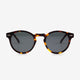 Black Oak Tortoise