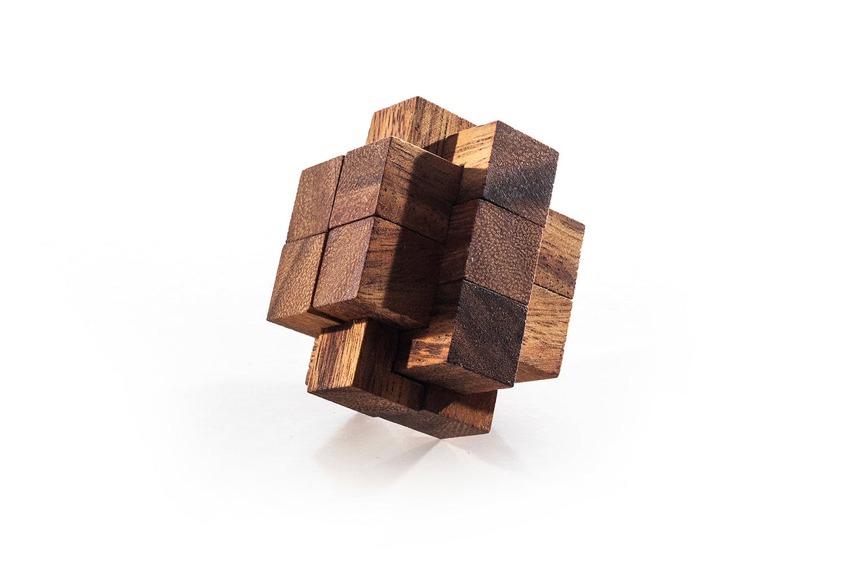 IX Burr Puzzle