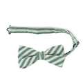 Juniper Stripe - Men's Pre-tied Bow Tie