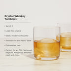 Raye Crystal Tumblers Set of 2