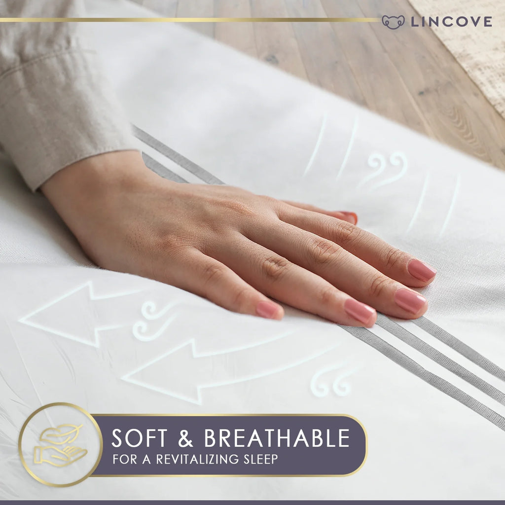 Latina 100% Cotton Duvet Cover Set