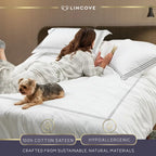 100% Cotton Luxe Duvet Cover Set
