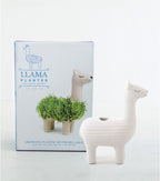 Llama Ceramic Planter - Desktop Sprouting Chia Pet Plant Pot - Gift Republic