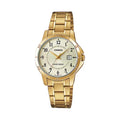 Casio Women’s Gold Analog Watch Champagne Dial Steel Bracelet - LTP-V004G-9BUDF