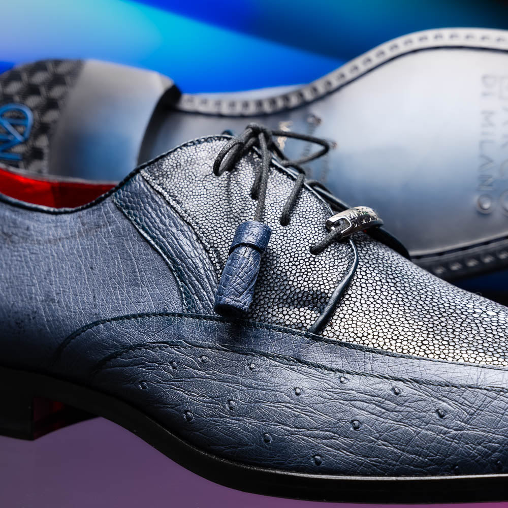 Lucca Navy
