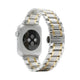 Silver / Gold