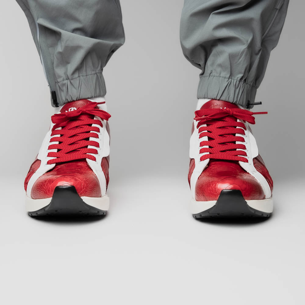 Lyon Red / White