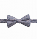 Ryan Seacrest Distinction Men's Bow Tie Atwood Paisley PT Silk Pink One Size