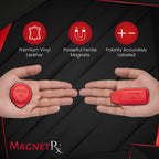 Biomagnetic Therapy Magnet Kit — Ferrite & Leather (16 Small Mixed Units)