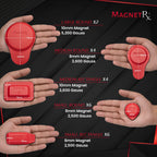 Biomagnetic Therapy Magnet Kit — Ferrite & Leather (22 Mixed Units)
