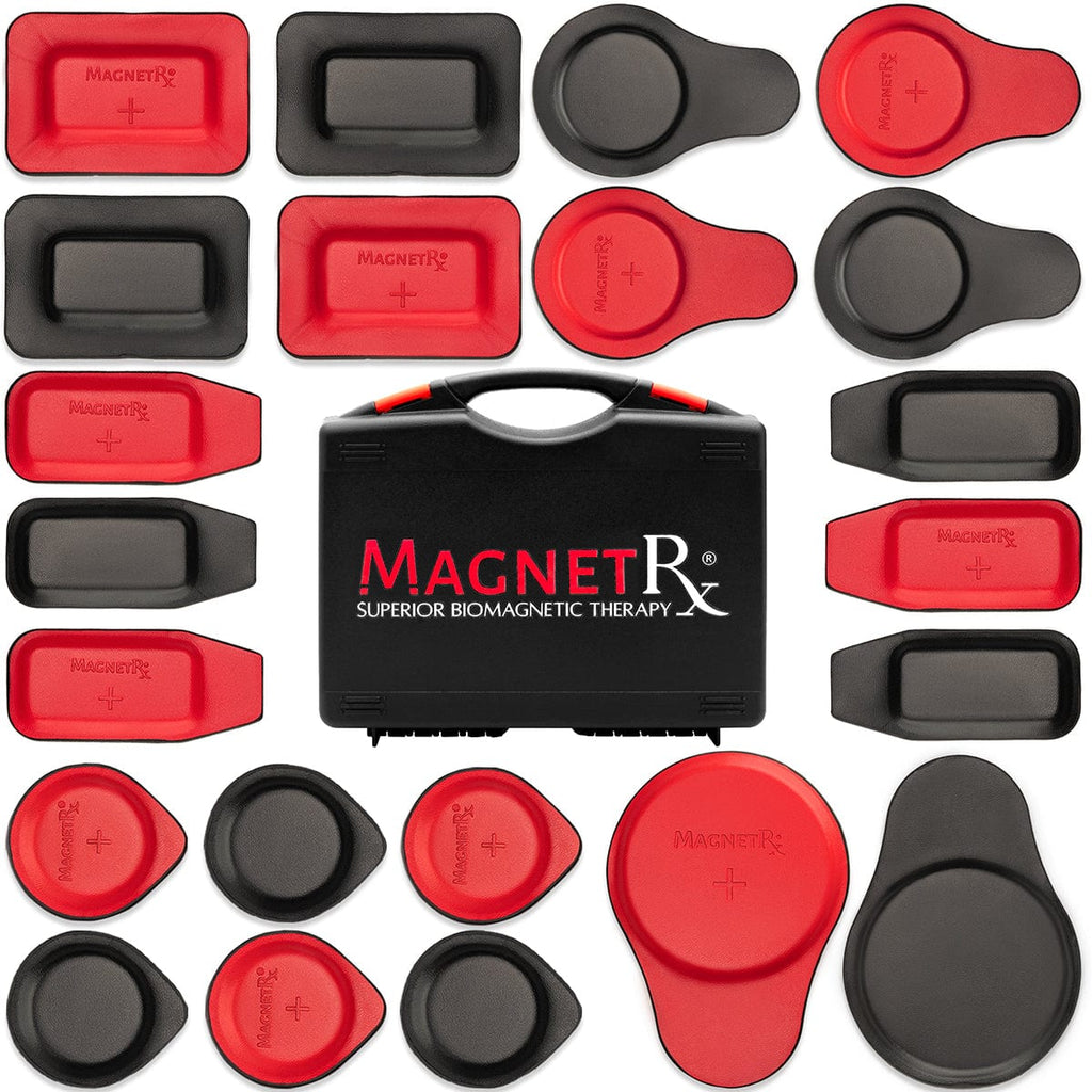 Biomagnetic Therapy Magnet Kit — Ferrite & Leather (22 Mixed Units)