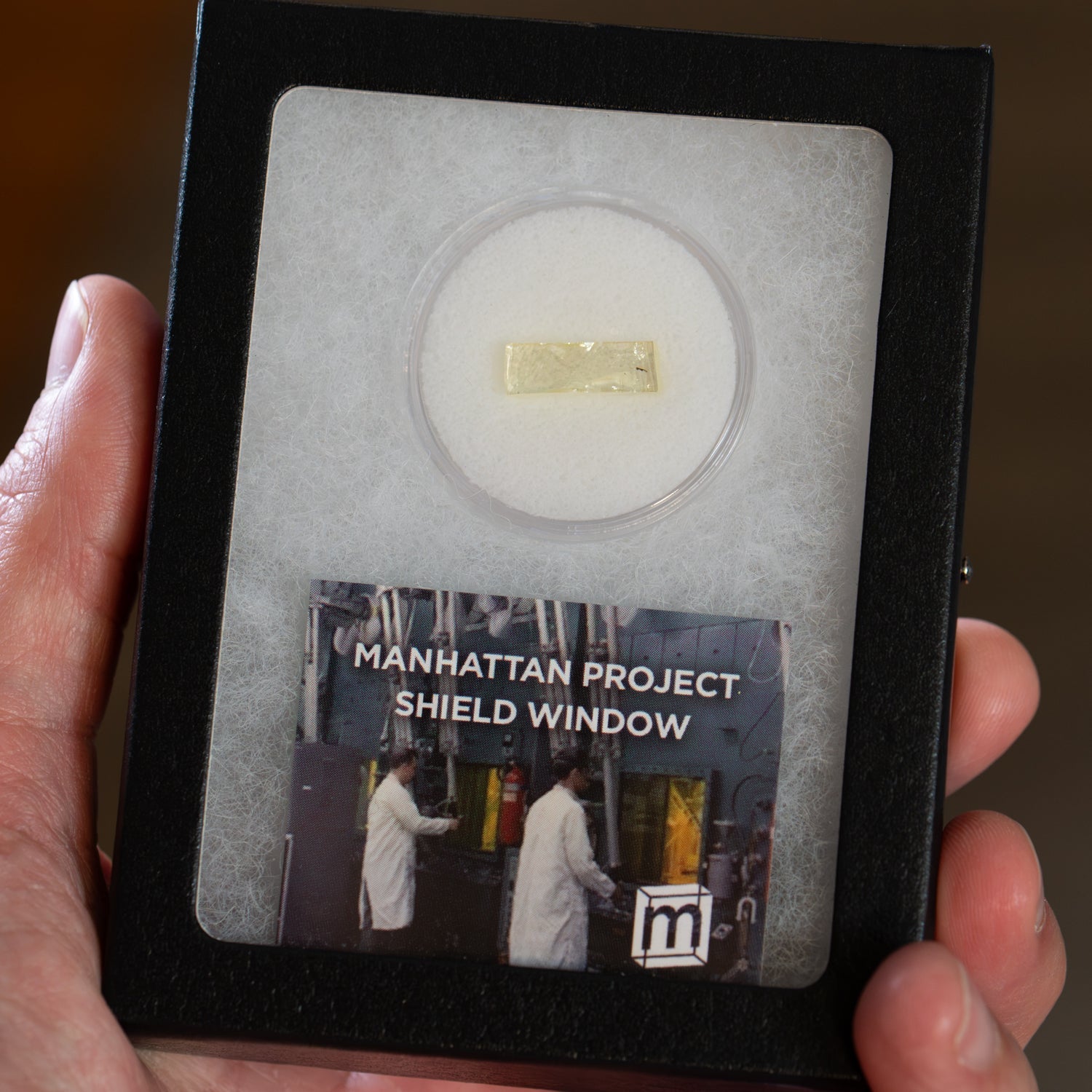 Manhattan Project Shield Window Fragment