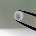 Martian Dust Storm NWA 7397 - Martian Meteorite